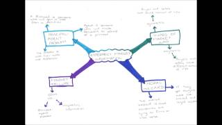 Imperfect Market Information [upl. by Adnilev556]