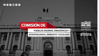 Comisión de Pueblos Andinos Amazónicos y Afroperuanos Ambiente y Ecología [upl. by Mchugh]