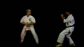 006 Don Shapland 1988 Isshinryu Wansu [upl. by Ledarf]