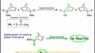 2004 Substrate Specificity [upl. by Nainatrad]