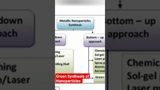 Green Synthesis of Nanoparticles greensynthesis nanoparticles [upl. by Nojel]