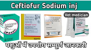 Ceftiofur Sodium inj use in veterinary in hindi [upl. by Nerhe]