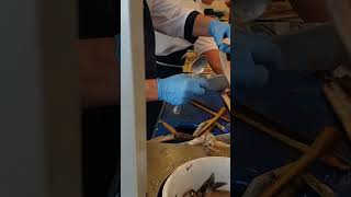 Herring skinning in VolendamNetherlands [upl. by Olimac]