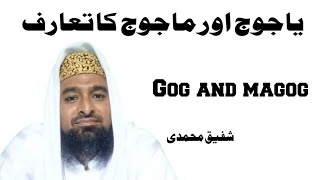 Gog And Magog  Islamic Bayan In Urdu  Shafiq Muhammadi 92 [upl. by Law]