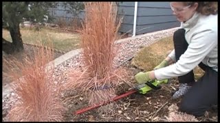 The BEST Way to Prune Ornamental Grasses [upl. by Nicole548]