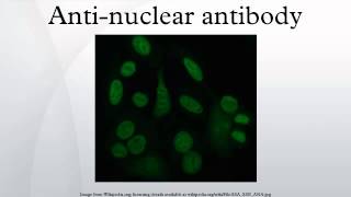 Antinuclear antibody [upl. by Quent]