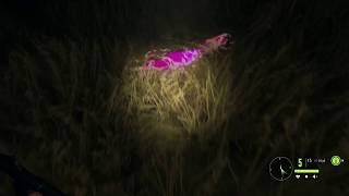 TheHunter Call of The Wild Gameplay Whitetail Deer Hunting [upl. by Tallu233]