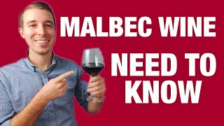 MALBEC RED WINE For Beginners [upl. by Yssor]