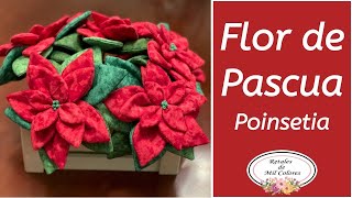 Flor de Pascua Poinsetia de Tela Nochebuenas Navidad DIY Pascuero Pastora 057 [upl. by Woodrow890]