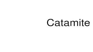 How to pronounce Catamite [upl. by Eahsan]