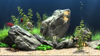 Dream Aquarium Virtual Fishtank 1 [upl. by Ninaj]