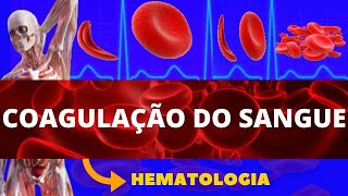 COAGULAÇÃO SANGUÍNEA HEMOSTASIA PRIMÁRIA E SECUNDÁRIA  ENSINO SUPERIOR  FISIOLOGIA SANGUÍNEA [upl. by Agna]