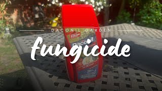 Save Your Garden with Daconil Fungicide Concentrate 🍃 [upl. by Leoni635]