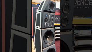 Siltech Symphony  485000 EUR music hifi loudspeaker hifisound hifiaudio bass loudspeakers [upl. by Jabez]