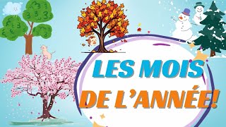 LES MOIS DE LANNÉE I MONTHS OF THE YEAR IN FRENCH [upl. by Coraline]