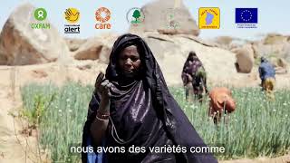 Réussite des Femmes Maraîchères à Tchighjimen Agadez Niger grâce au Projet RECOSOC [upl. by Notsur]