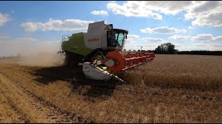 HARVESTING WHEAT WITH THE CLAAS LEXION 760 [upl. by Wyatt398]