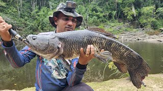 Extreme fishing expedition for Wolf fish  Deep in the jungle of Suriname [upl. by Naillij]