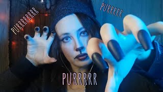 ASMR purrrrsonal attention 😸🤍 scratching and purring you to sleep 💤 [upl. by Siva195]