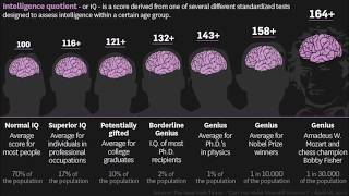 Online IQ tests What are the realities [upl. by Hyde927]