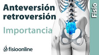 Anteversión y retroversión pélvicas  Qué son y cuál es su importancia [upl. by Kenon]