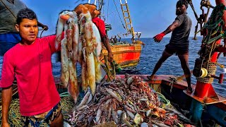 Amazing🤩 we caught lot of squid amp Mackerel fishes in Deep sea  Day 3 [upl. by Stew]