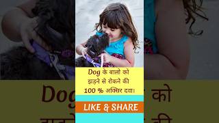 Dog के बालो को झड़ने से रोकने की 100 अक्सिर दवाdog hair fall solutionytshorts doghair doghealth [upl. by Benyamin]