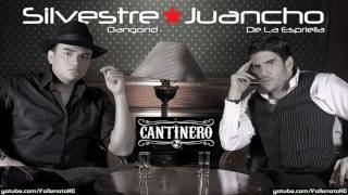 Silvestre Dangond  Habla Con Ella Cantinero  Vallenato 2010 [upl. by Brendin]