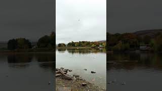 Morning walk around Hollingworth Lake with voice of HolyQuran muslim islamicvideo [upl. by Adolphus]