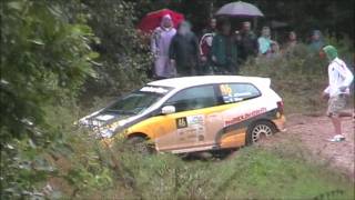 LÕUNAEESTI RALLI 2011 [upl. by Dorcus]