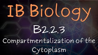 Compartmentalization of the Cytoplasm  B223 [upl. by Umeko]