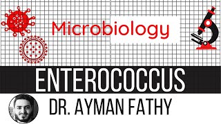 Enterococcus  USMLE Step 1 Microbiology  Dr Ayman Fathy [upl. by Fi]