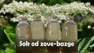 Najbolji recept za sok od zove  bazge [upl. by Strade]