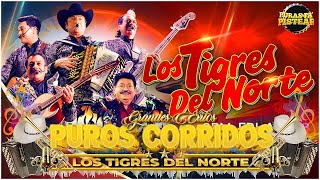 Pur0s C0rrid0s 🔥  Los Tigres de N0rte🤠🔥  Lo Mejor Colección✅Mix Para Pistear 2024🎶🍻 16118 [upl. by Kall]