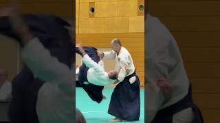 wwwaikikaisk  Slovak Aikido Association  Aikikai Slovakia [upl. by Daryn]