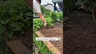 Helps to ferment quickly improves fertilizer efficiency compost fermentation growingveg [upl. by Hutt905]