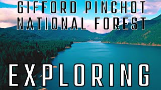 Exploring Gifford Pinchot National Forest  Mt St Helens Wilderness  March 2022 [upl. by Aryn]