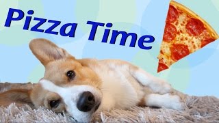 Pizza Time  Topi the Corgi [upl. by Akinuahs]