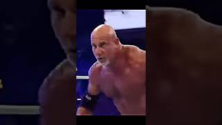 Brock Lesnar Vs 🔥 Goldberg At Wrestlemenia 33 😈wwe brocklesnar goldberg shrots [upl. by Alemahs]