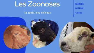 Webinaire 💻 Module Les Zoonoses 🗂️ La Chlamydiose🖍️ [upl. by Ylrehc361]