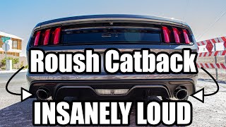 Ford Mustang GT 20152017 Roush Cat Back Exhaust  Startup Exterior Interior and Accelerations [upl. by Pierre]