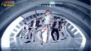 Vietsub  Kara INFINITE 인피니트  Man In Love [upl. by Tima]