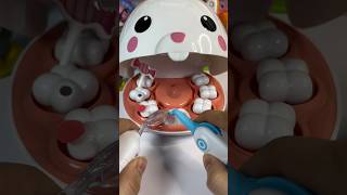 The Most Relaxing Bunny Dentist ASMR [upl. by Jaquenetta792]