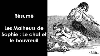 Un jour une connere  quotLes Malheurs de Sophiequot quotLe chat et le bouvreuilquot [upl. by Velleman]