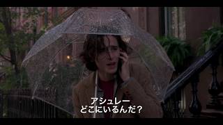 映画『レイニーデイ・イン・ニューヨーク』予告編（30秒版） [upl. by Yral223]