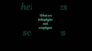 What are heliophytes and sciophytes biology botany bscbotany [upl. by Asilrac480]