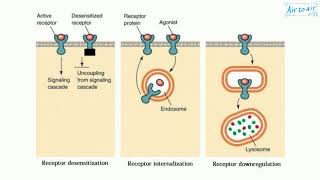 What is Eye Movement Desensitization Reprocessing Therapy [upl. by Adahsar173]