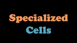 Specialized Cells [upl. by Ahl]