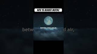 November 15th BEAVER MOON for CHOSEN ONES [upl. by Edison814]