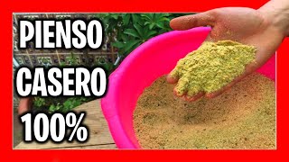 ✅ PIENSO CASERO PARA AVES 100  Comida casera para pájaros [upl. by Uwton]